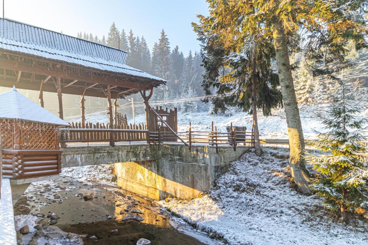 Villa Nikoletta Spa Bukovel Dış mekan fotoğraf